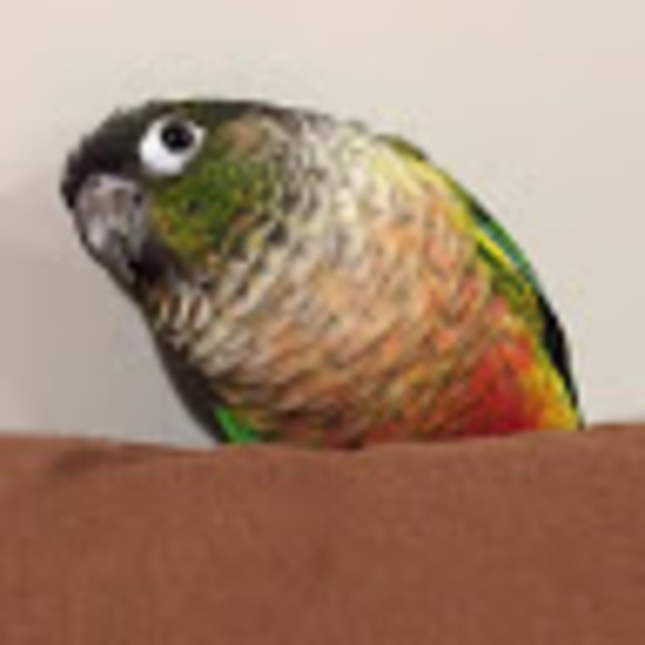 Meet your Posher, Jessica - Picture 1 of 1